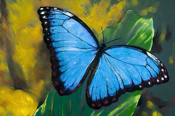 Vastu Butterfly Painting