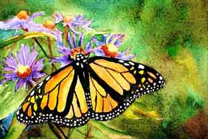 Vastu Butterfly Painting